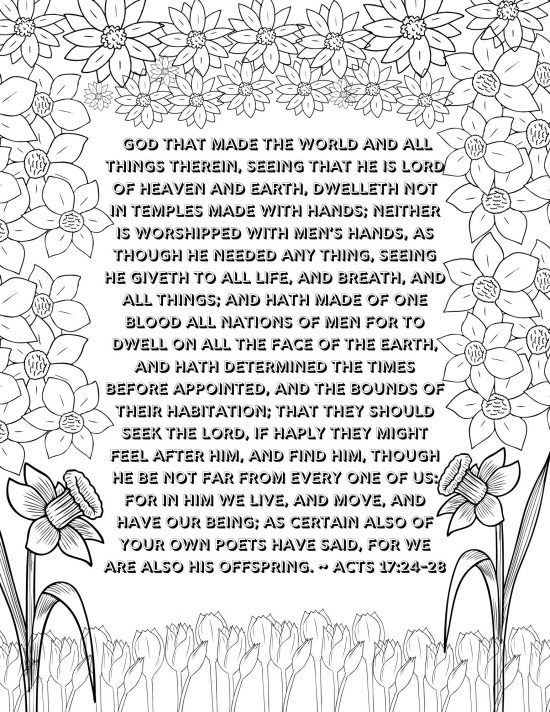 shop-diary-journal-book